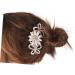 Housoutil Bridal Hair Comb Crystal Bride Clip Hair Clip Crystal Hair Charms Women Hair Accessories Bridal Hair Accessories Pearl Hair Accessories Bride Hair Comb Women's Wedding - Buy Online on GoSupps.com