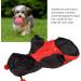 Shop Bagima Ladybug Dog Costume | Warm Hooded Sweater for Small Dogs | Perfect Halloween & Winter Outfit - Buy Online on GoSupps.com