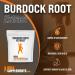 Burdock Root Extract Powder - Liver, Skin & Immune Support - 1000mg per Serving - 250 Servings - Buy Online on GoSupps.com
