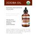 Organic Jojoba Oil - 4 oz | Golden, Unrefined & Cold Pressed | For Face, Hair, Body & Skin Care | Stretch Marks & Cuticles | Moisturizing Carrier Oil | Hexane-Free - Buy Online on GoSupps.com