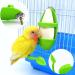 2 Pcs Cuttlefish Holder Cuttlefish for Birds Parrot Stand With Feeding Racks Suitable for Small Birds Such As Parrots/Parakeets/Cockatoos/Lovebirds/Green-Cheeked Chicks - Buy Online on GoSupps.com