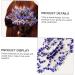 Didiseaon Bridal Crystal Hair Comb Wedding Hair Clips Bridal Hair Clip Tiara for Bride Wedding Bride Crystal Hair Comb Rhinestone Hair Clips Blue Crystal Bridesmaid Alloy Headgear - Buy Online on GoSupps.com