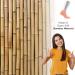 Cosyfeel Women Loose Diabetic Socks | 4-Pack Neuropathy Ankle Socks for Ladies | Super Soft Eco-Friendly Bamboo Material | Durable with Seamless Toe | Multicolour Patterns | 4 Seasons 4-7 SALMON - Buy Online on GoSupps.com