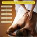 Bon Vital Premium Massage Creme - Hypoallergenic Professional Dual Use Cream - 1 Gallon - Buy Online on GoSupps.com