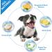 Dog Wipes Cleaning Teeth - Dental Care Finger Wipes - 50 CT Cat Dog Teeth Cleaning Wipes - Plaque and Tartar Remover Dog Oral Care Freshen Bad Breath - Buy Online on GoSupps.com