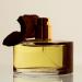 N.C.P. Olfactives 705 Leather & Oud EDP Unisex For Him 50ml 3.52 Fl Oz (Pack of 1) - Buy Online on GoSupps.com