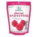 Nature's All Foods Organic Freeze-Dried Raspberries - Non-GMO & Vegan - 1.3 Ounce (Pack of 12) Bag Raspberries 1.3 Ounce (Pack of 12)