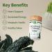 Buy Snap Supplements USDA Organic Spirulina & Chlorella Capsules - Green Superfoods for Energy & Metabolic Health - 120 Capsules - Buy Online on GoSupps.com