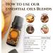 Ecodrop Allergy Essential Oil Blend - 10ml | Pure Therapeutic Grade Aromatherapy for Decongestion & Hay Fever Relief - Buy Online on GoSupps.com