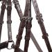 Buy WALDHAUSEN X-Line Standard Bridle Canc n Dark Brown - Stainless Steel for Thoroughbred & Cob | International Shipping Available - Buy Online on GoSupps.com