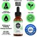 Hemp Oil for Cats and Dogs - Made in USA - Holistic Relief for Stress, Pain, Inflammation - 200mg Hemp Oil Drops - Hip & Joint Health, Sleep Aid, Cat Calming - 1oz Bottle - Buy Online on GoSupps.com