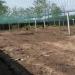 Bird Netting for Garden for Bird Poultry Aviary Safety Netting Heavy Duty Chicken Netting 1.6 Inch Square Mesh Size (Hole Distance : 4cm Hole Size : 1x1m/3.28x3.28ft) - Buy Online on GoSupps.com