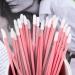 100 Pcs Pink Lipstick Applicator Brushes - Lip Gloss & Concealer Makeup Wands - Buy Online on GoSupps.com