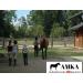 Compositi Amka Plastic Stirrup Profiles for Children & Adolescents - Shock Absorbing Moisture-Resistant Black Elastomer Insert | International Shipping - Buy Online on GoSupps.com