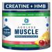 BioTrust Ageless Muscle Builder - Creatine HMB Powder with Vitamin D3 & Betaine - Build & Preserve Naturally Declining Muscle Mass & Strength - Fruit Punch 30 Servings Fruit Punch 30 Servings (Pack of 1)
