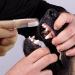 SZCXDKJ 12 Pieces Pet Finger Toothbrush Soft Silicone Pet Finger Toothbrush Food Safety Tooth Cleaner Dog Cat Dental Brushes Kit for Dogs Cats Pets Dental Care(Transparent Color) - Buy Online on GoSupps.com