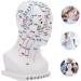 Buy Minkissy Acupuncture Point Model - Human Head Model for Head Massage & Acupuncture - 22x12x8cm - White PVC - International Shipping Available - Buy Online on GoSupps.com