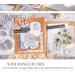 Vintage Scrapbooking Supplies Pack - 40 Pcs Cutout Lace Paper Feathers Flowers Leaves Frame Decorative DIY Craft Stationery - Buy Online on GoSupps.com