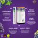 Miracle Toothpick - 100 Individually Packed Flavorful Toothpicks (Grape/Mint) for Fresh Breath & Oral Hygiene | Ideal Toothpick Donor - Buy Online on GoSupps.com