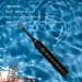 VALSEEL Sonic Electric Toothbrush for Adults - 6 Modes, Smart Timer, IPX7 Waterproof - Black (4 Heads) - Buy Online on GoSupps.com