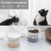 Tamaykim Ceramic Tilted Raised Cat Bowls Set - 8 oz Food and Water Dishes for Kitties - Porcelain Elevated Pet Dish, Set of 2 Orange & Blue - Buy Online on GoSupps.com
