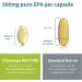 Pharmepa Restore 1000mg Pure EPA Fish Oil - High Absorption Triple Strength Omega-3 - Lemon Flavor - 60 Softgels - Buy Online on GoSupps.com
