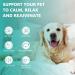 Max Potency Hemp Oil for Dogs and Cats with Omega 3-6-9 Fatty Acids - Supports Hip, Joint, and Skin Health - Organic, Non-GMO, Made in USA 1-Pack - Buy Online on GoSupps.com