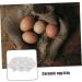 KICHOUSE Organizer Storage Home Porcelain Serving Container Holder Keeper Kitchen Cups Plate Display Egg - Buy Online on GoSupps.com