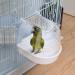 POPETPOP Covered Bird Bath for Small Birds - Ideal for Canaries, Budgies, and Parrots - White - Buy Online on GoSupps.com