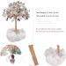 Kyeygwo Fluorite Healing Crystal Money Tree - Natural Mountain Druse Base Feng Shui Bonsai Gemstone Ornament for Home Decor & Luck - Buy Online on GoSupps.com