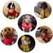 Pethiy Premium Waterproof Dog Raincoat - Stylish Rain Jackets with Removable Hood & Reflective Buttons - Perfect for All Breeds - Red - Buy Online on GoSupps.com