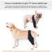 Hip Brace for Dogs - Flexible Hip Brace for Dogs Dog Hip Joint Brace for Torn ACL Patella Luxation Osteoarthritis Limping from Joint Hip Dysplasia Kot-au Black Medium - Buy Online on GoSupps.com