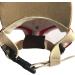 PetPhindU Dog Sun Hat | Baseball Cap for Pets - Red Peaked Cap with Letter Print - Shading Accessory for Dogs - Buy Online on GoSupps.com