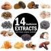 ECO-TASTE 14 Mushroom Supplement with Black Pepper - 120 Veggie Capsules - Buy Online on GoSupps.com