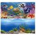 Hidom Aquarium Background Poster Double Sided - Height 19" / 50cm - Length 3 FT / 92cm - Two Scenic Pictures displaying Aquatic Backdrops - DS 500-9093/9094-3 3 FT (92cm)