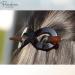 Parcelona French Infinity Brown Tortoise Shell Hair Slider Barrette Clip with Stick for Fine Hair Women & Girls - Buy Online on GoSupps.com