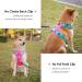 Phoepet No Pull Dog Harness | Reflective Vest with Soft Training Handle for All Dog Sizes | Pink & Green - Buy Online on GoSupps.com