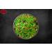 Spicy World Green Mukhwas 14 Oz - Indian Mouth Freshener Candy | Resealable Bag - 14 Ounce - Buy Online on GoSupps.com