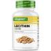Lecithin 1200 mg - 300 Softgels - Premium: with Phosphatides - Non-GMO Soy Lecithin - High Dose - Premium Quality