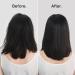 L Or al Professionnel 10-in-1 Leave-in Oil With Protein And Gold Quinoa for Dry And Damaged Hair Serie Expert Absolut Repair 90 ml Aloe 90 ml (Pack of 1) - Buy Online on GoSupps.com