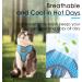 Thinkpet No-Pull Dog Harness Leash Set - Breathable Adjustable Safety Harness for Small Medium & Large Dogs - Soft Reflective Control - Ideal for Running - Blue (1 Pack) - Buy Online on GoSupps.com