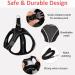 Cat Dishes Set with Leash | Breakout Cat Feeders for Kittens & Puppies | International Shipping Available - Buy Online on GoSupps.com
