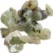 Natural Crystal Rough Natural Crystal Rough 100g Natural Prehnite Grapestone Green Prehnite Silicate s Home Decoration Jewelry Processing 2-5cm 80-100g