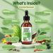 21-in-1 Soursop Graviola Liquid Drop Soursop Bitters Liquid 2000mg Organic Soursop Leaves & Fruit with 300mg Sea Moss Zinc Vitamins for Cellular Immune Skin Digestive Natural Flavor 60ML Natural Flavor 2 Fl Oz (Pack  - Buy Online on GoSupps.com