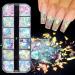 12 Colors Holographic Nail Art Glitter Sequins - Irregular Mermaid Nail Sequins for Face, Hand, Body - Colorful Fluorescent Glass Paper Nail Decoration - DIY A4 - Buy Online on GoSupps.com