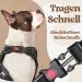 Rabbitgoo Dog Harness for Small Dogs - Adjustable No-Choke Reflective & Padded Chest Harness - Anti-Pull with Handle - Black (1 Pack) - Buy Online on GoSupps.com
