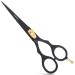 Awans Hairdressing Barber Salon Scissors 6"