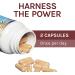 Fungi Perfecti Reishi Mushrooms - Longevity Support, 60 Veg Capsules - Buy Online on GoSupps.com