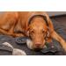 Trixie Zug-Stop Hundehalband Be Nordic S-M Black/Sand | Comfortable & Elegant Dog Collar for Small & Medium Dogs - Robust Training Limitation - 17265 - Buy Online on GoSupps.com