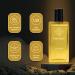 Power Long Lasting Mandarin Patchouli Jasmine Fragrance Perfume | For Men & Women With Free Pocket Perfume | Refreshing Notes Pack of 1 50 ML - Buy Online on GoSupps.com